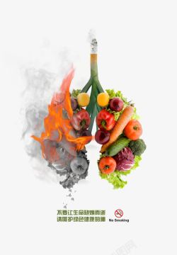 禁烟日公益广告肺部与香烟蔬果素材