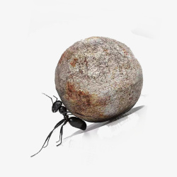 灰色石头黑色蚂蚁素材