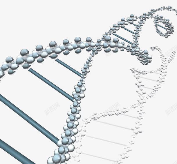 遗传基因png免抠素材_88icon https://88icon.com 基因 基因链 遗传因子 遗传基因