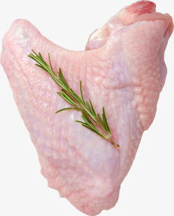 鸡翅和植物素材