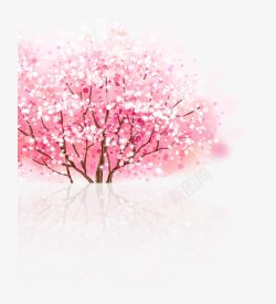 清新唯美樱花树素材