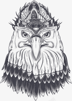 素描手绘老鹰头像素材