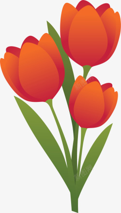 橘红色春天精美郁金香矢量图素材