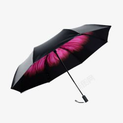 晴雨伞苏桃双层黑胶晴雨伞高清图片