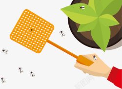 苍蝇蚊子害虫素材