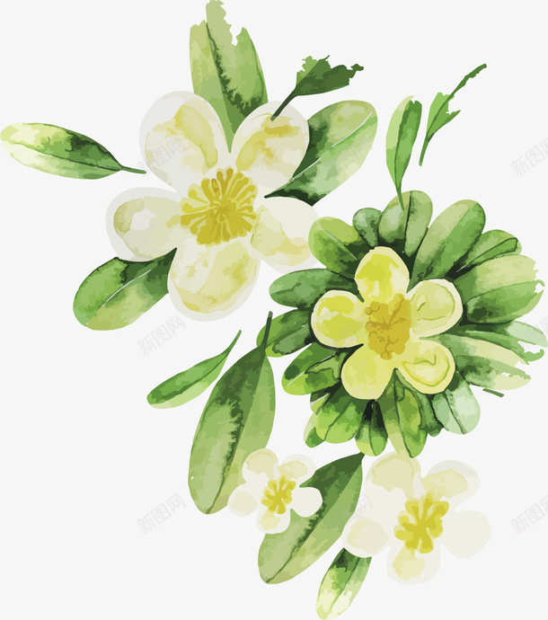 栀子花手绘精美工艺矢量图ai免抠素材_88icon https://88icon.com 工艺 春意盎然 栀子花 栀子花春意盎然 栀子花精美工艺 精美 精美工艺 矢量图