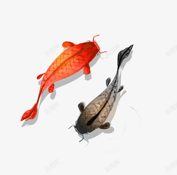 栩栩如生水墨鱼png免抠素材_88icon https://88icon.com 九鱼 吉祥鱼 富贵有余 年年有余 彩色 彩色水墨鱼 水墨 装饰画 逼真
