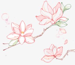 彩绘木兰花矢量图素材