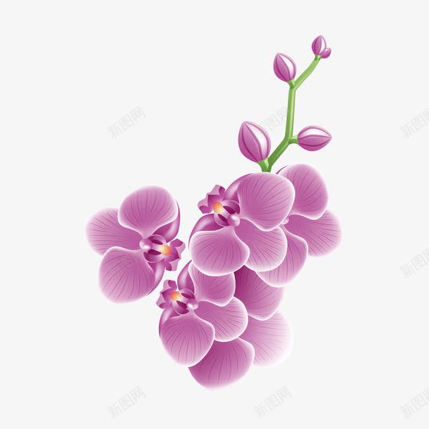 鲜花蝴蝶兰立体手绘图案png免抠素材_88icon https://88icon.com 图案 立体手绘 精美蝴蝶兰 蝴蝶兰 鲜花 鲜花蝴蝶兰立体手绘图案