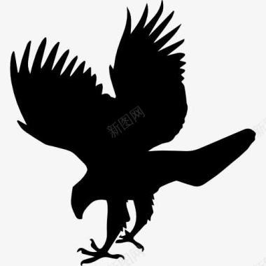 动物王国鹰鸟动物形状图标图标