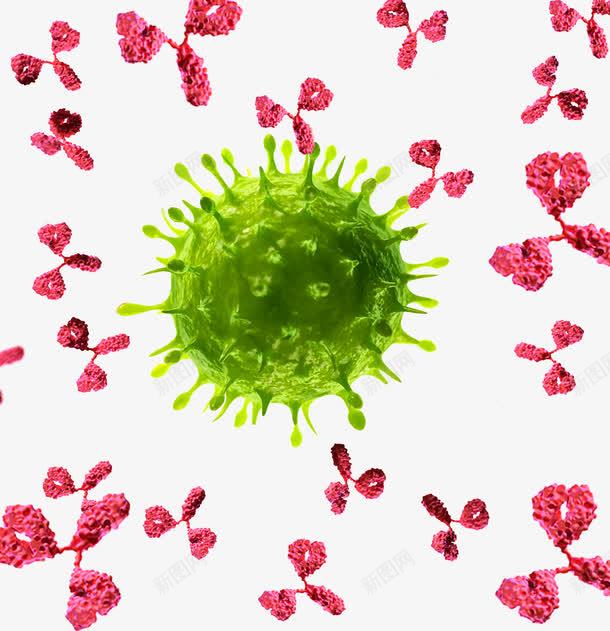 人体免疫细胞png免抠素材_88icon https://88icon.com 人体免疫 吞噬 抗体 浆细胞 病毒