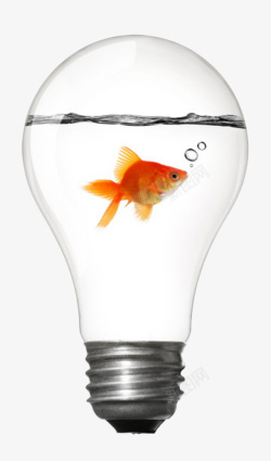 灯泡发亮创意电器金鱼在灯泡里面游泳装饰高清图片
