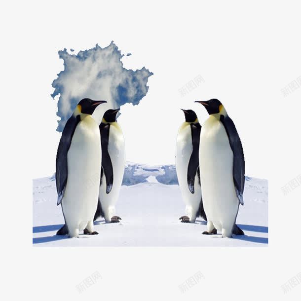 冰川企鹅png免抠素材_88icon https://88icon.com 企鹅 冰山 冰川 南极 寒冷 模型