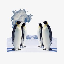 冰川企鹅素材