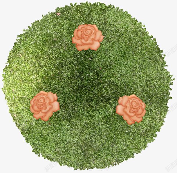 童话里树png免抠素材_88icon https://88icon.com 万圣节 复古 梦游仙境 童话 魔境梦游 魔鬼之城