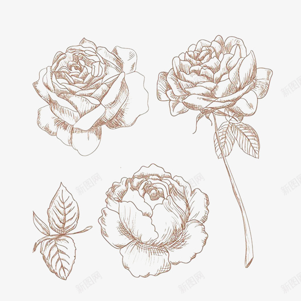 素描玫瑰花psd免抠素材_88icon https://88icon.com 3D玫瑰 一朵玫瑰花 姹紫嫣红 娇艳欲滴 玫瑰纹身 玫瑰花 花朵 馥郁芬芳