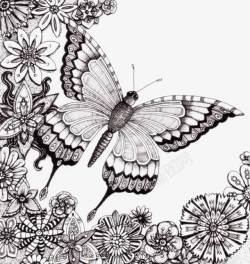 精致的手绘蝴蝶素材