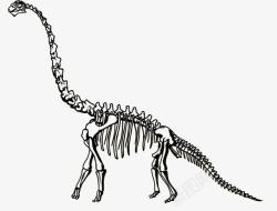 梁龙恐龙化石素材
