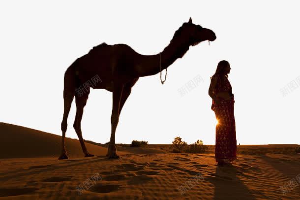荒漠下的骆驼人物png免抠素材_88icon https://88icon.com 人物剪影 沙丘 沙漠落日 沙漠骆驼 荒漠下的骆驼人物 荒漠荒凉 黄昏大漠