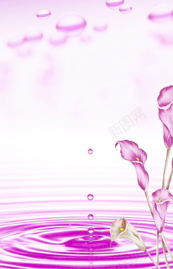 美容化妆紫色水滴花朵广告背景背景