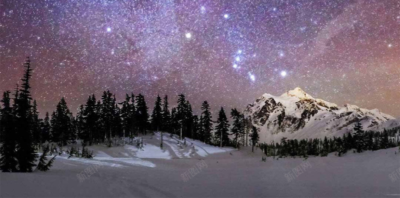 紫色浪漫星空h5背景jpg设计背景_88icon https://88icon.com H5 H5背景 h5 夜空 星空 梦幻 森林 浪漫