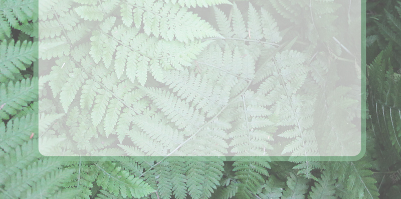 绿色树叶自然H5背景psd设计背景_88icon https://88icon.com 叶子 树叶 清新 生机 绿意 绿色 自然 风景