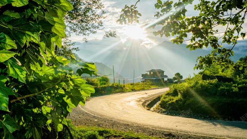 户外道路森林绿色植物平面广告jpg_88icon https://88icon.com 山峰 平面广告 户外道路 摄影 森林 汽车宣传 田园 绿色植物 阳光照射 风景