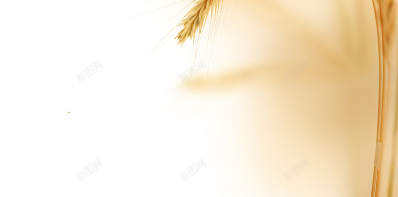 浪漫模糊的金色麦穗H5背景jpg设计背景_88icon https://88icon.com H5背景 丰收 大麦 模糊 浪漫 粮食 金色 食物 麦穗