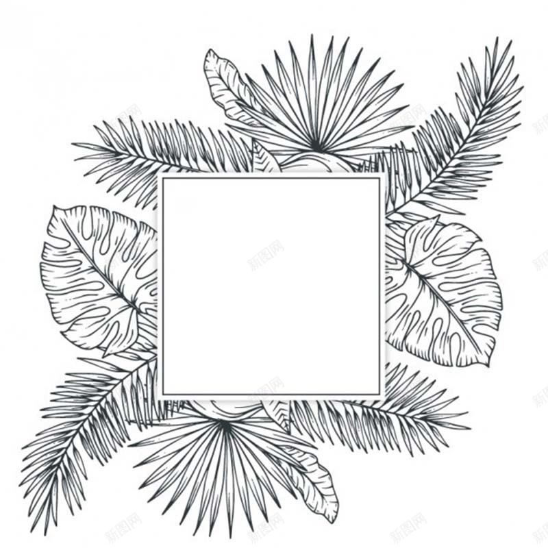 热带植物背景图jpg设计背景_88icon https://88icon.com 主图 卡通 手绘 文本框 灰调 热带植物 童趣 简约 黑白线条
