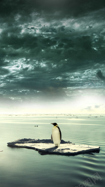 灰色天空企鹅psd分层H5背景背景