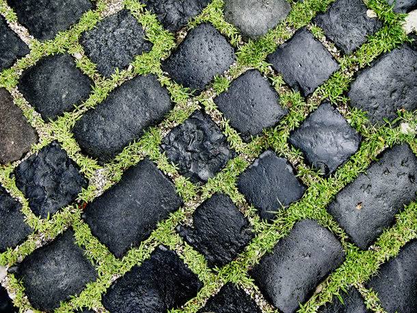 地砖与草地背景jpg设计背景_88icon https://88icon.com 图片素材 地砖 地砖与草地背景图片 地砖与草地背景图片素材下载 小草 底纹背景 背景 背景图案 背景花边 草地 铺装图案