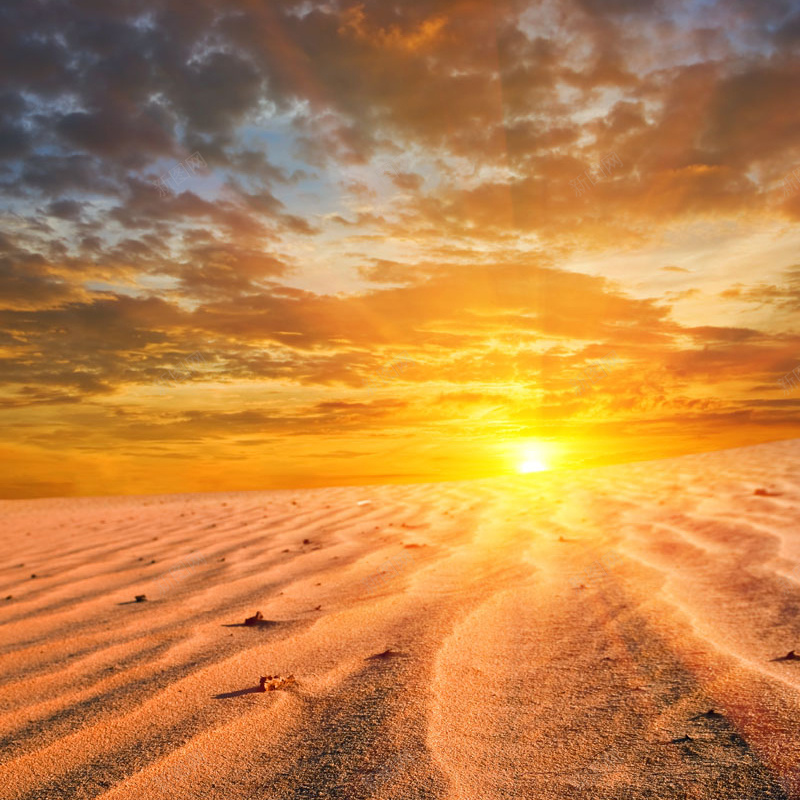 金色阳光沙漠背景图jpg_88icon https://88icon.com 主图 摄影 沙漠 金色 阳光 霸气 风景