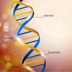 基因线条精美立体的基因链背景矢量图高清图片