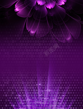 紫色高贵花瓣梦幻节日背景背景