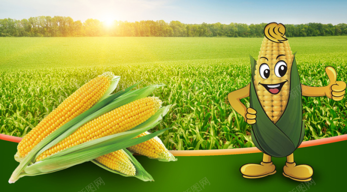 绿色玉米田卡通玉米海报背景背景