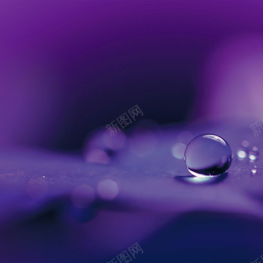 梦幻紫色露珠主图背景背景