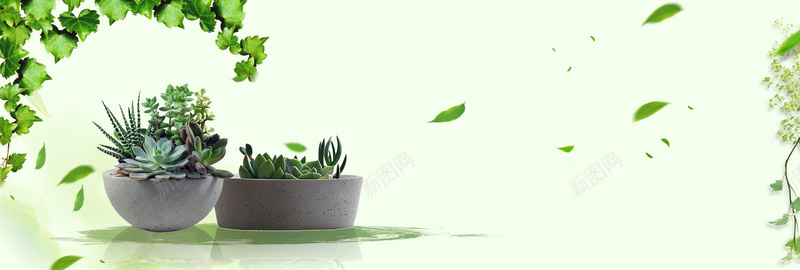 绿色小清新植物盆栽多肉电商bannerpsd设计背景_88icon https://88icon.com banner 多肉 小清新 植物 电商 盆栽 神奇的桌面宠物 绿色