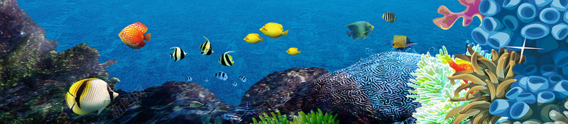 卡通海豚海洋世界psd设计背景_88icon https://88icon.com 手绘 旅游 水族馆 海底世界 海报 海水 海洋世界 海滨 海豚 热情 珊瑚 鱼群