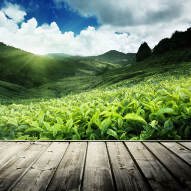 淘宝食品茶叶主图背景