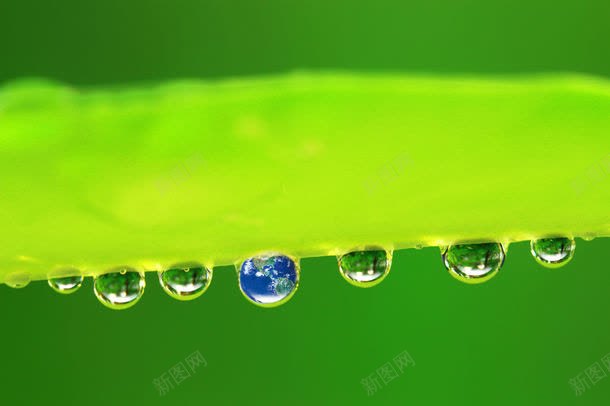 绿叶上的水珠地球jpg设计背景_88icon https://88icon.com 保护地球 其它类别 图片素材 地球 水珠 环境保护 生态环保 绿叶 绿叶上的水珠地球图片 绿叶上的水珠地球图片素材下载 绿色环保 背景花边 露珠
