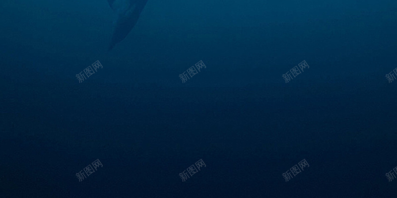 蓝色海洋海豚背景psd设计背景_88icon https://88icon.com 大海 海洋 海洋素材 海洋背景 海豚 蓝色海洋 蓝色素材 蓝色背景