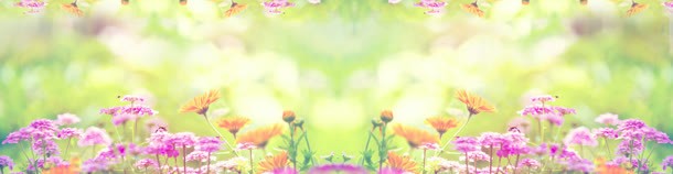 温馨花朵淘宝海报背景背景