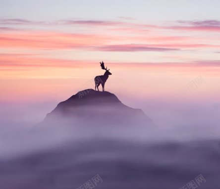 唯美梦幻云中的麋鹿背景