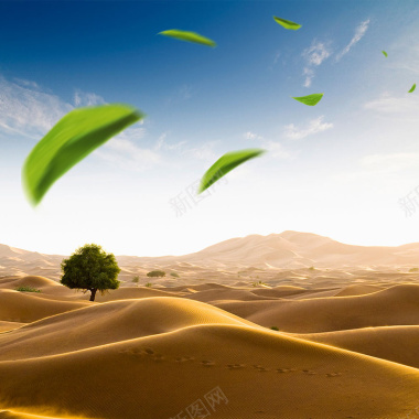 沙漠摄影首图背景