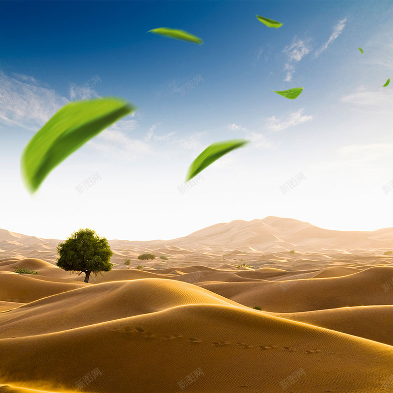 沙漠摄影首图psd设计背景_88icon https://88icon.com 主图 大气 摄影 树木 沙漠 绿色