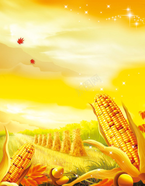 金色丰收农田劳作玉米黄昏背景背景