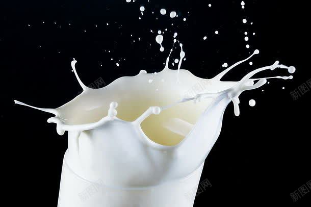 飞溅的牛奶jpg设计背景_88icon https://88icon.com 其它类别 动感牛奶 图片素材 牛奶饮料 背景花边 飞溅的牛奶 飞溅的牛奶图片 飞溅的牛奶图片素材下载