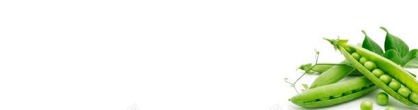 蔬菜农业豆角清新背景bannerjpg设计背景_88icon https://88icon.com banner 农业 清新 背景 蔬菜 豆角