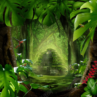 魔幻森林绿色背景背景