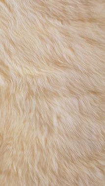 米色毛毯柔软纹理H5背景背景